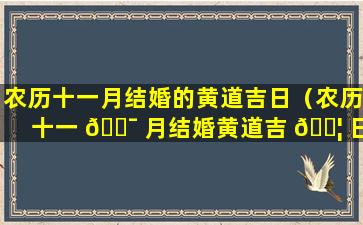 农历十一月结婚的黄道吉日（农历十一 🐯 月结婚黄道吉 🐦 日查询2006年的狗是什么命）